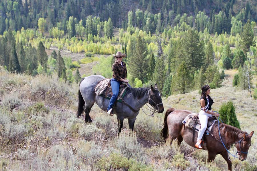 Jackson Hole: Teton View Guided Horseback Ride with Lunch - What the $495 price means