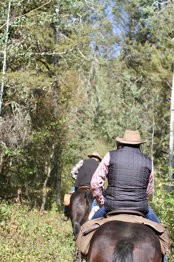 Jackson Hole: Teton View Guided Horseback Ride with Lunch - Who will enjoy this ride most