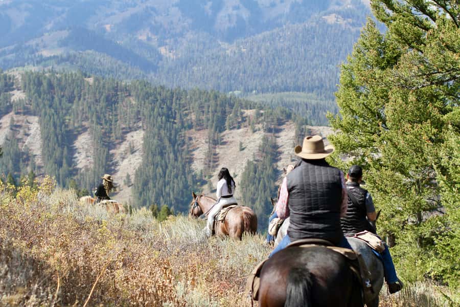 Jackson Hole: Teton View Guided Horseback Ride with Lunch - Practical tips for a smoother outing