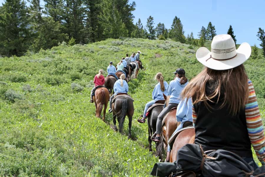 Jackson Hole: Teton View Guided Horseback Ride with Lunch - Climbing from the trailhead to Ann’s Pond