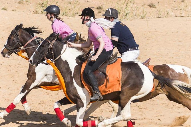 Jaipur Horse Riding Adventure - Starting at 6:30 am near Jaisinghpura