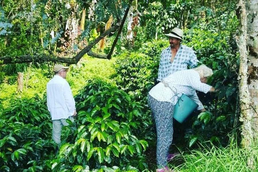Jardín: Horseback Ride with Coffee Villa and Waterfall - Seeing the mountains from Jardín’s cable car