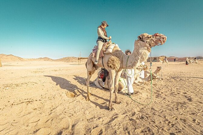 Jeep Cruise Stargazing with Horse Riding & BBQ Dinner - Hurghada - A Bedouin village and traditional tea