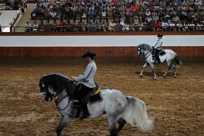 Jerez and Cadiz with Horse Ballet and Sherry Tasting from Seville - Why this Seville day trip works