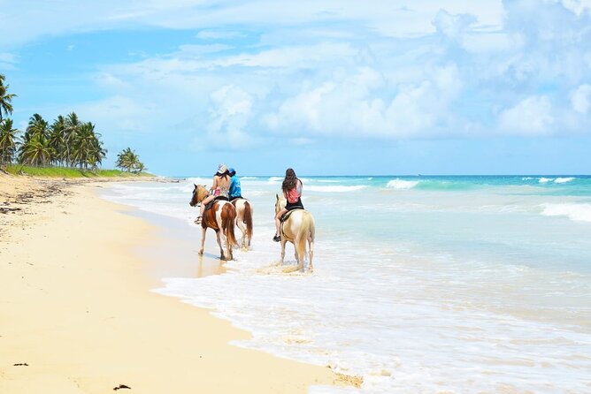 Jungle and Beach Horse Ridding round trip transportatin. - Key points at a glance