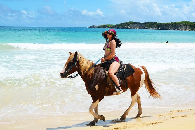 Jungle and Beach Horse Ridding round trip transportatin. - What this Punta Cana horseback tour actually includes