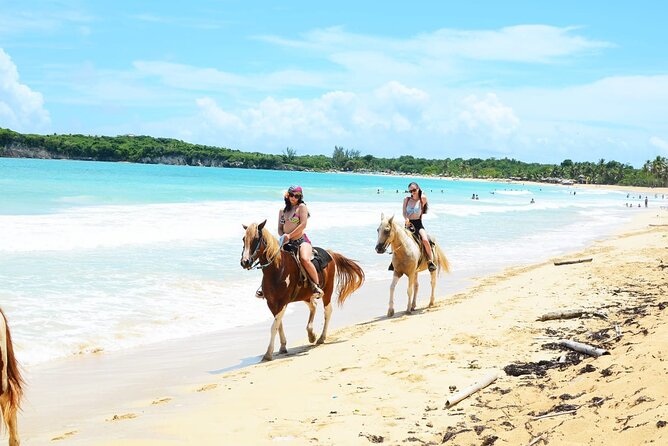 Jungle and Beach Horse Ridding round trip transportatin. - Who should book this experience?