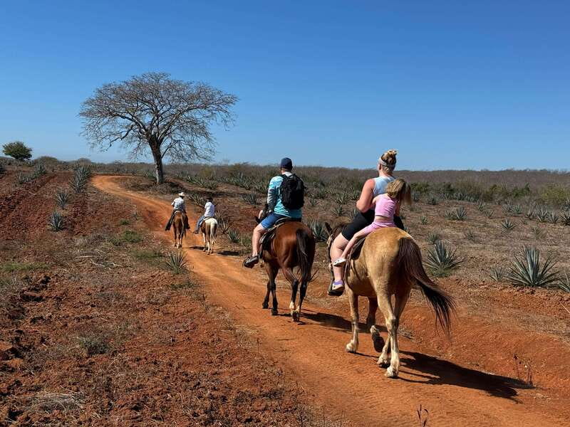 Jungle and beach horseback ride + lunch + mezcal - Booking and cancellation details