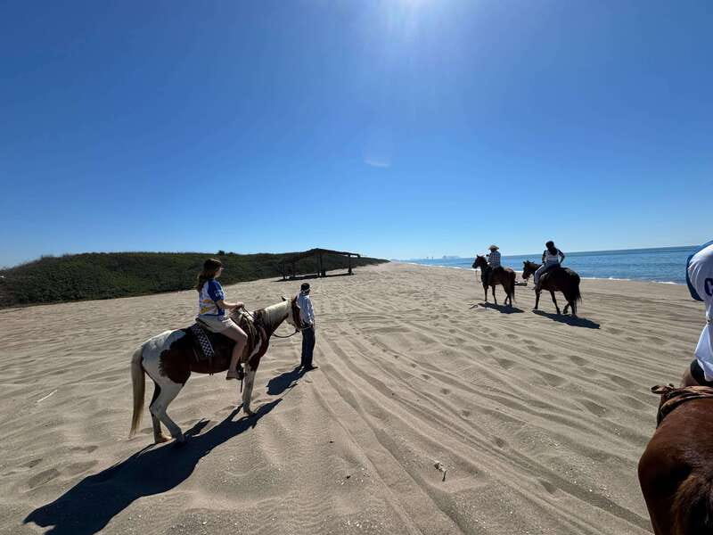 Jungle and beach horseback ride + lunch + mezcal - From Mazatlán pickup to Mr. Lionso Ranch