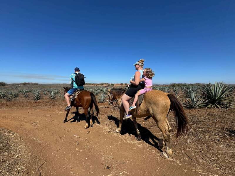 Jungle and beach horseback ride + lunch + mezcal - Lunch with machaca, tortillas, and mezcal