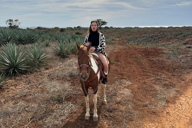 Jungle and Beach Horseback ride Tour in Pacific Coast - Ranch shopping and the extra touch of hospitality
