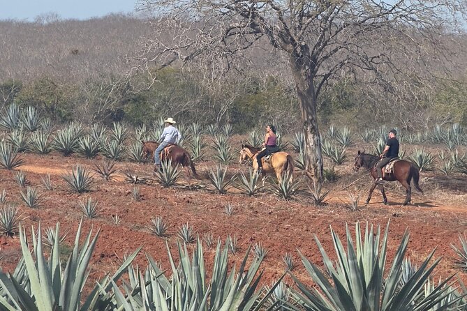 Jungle and Beach Horseback ride Tour in Pacific Coast - Who will enjoy this ranch outing most?