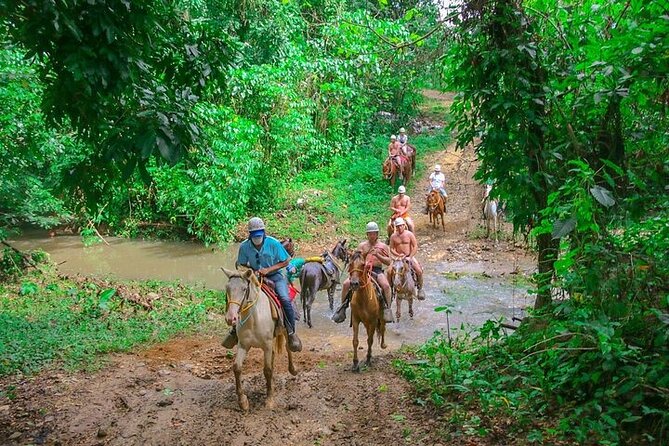 Jungle Buggies + Zilplining + Horseback Ride + Countryside + Macao Beach - What the $113.05 price really covers