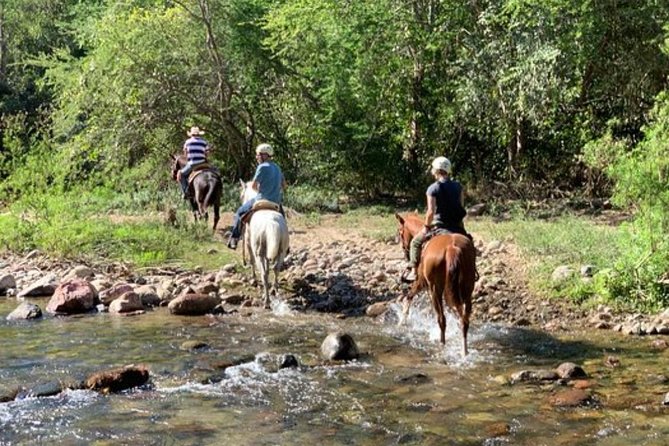 Jungle HorseBack Adventure to Las Palmas Waterfall All Included - From Puerto Vallarta streets to the Sierra Madre