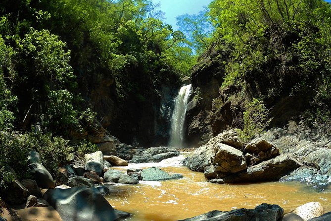 Jungle HorseBack Adventure to Las Palmas Waterfall All Included - Following the Cuale River on horseback