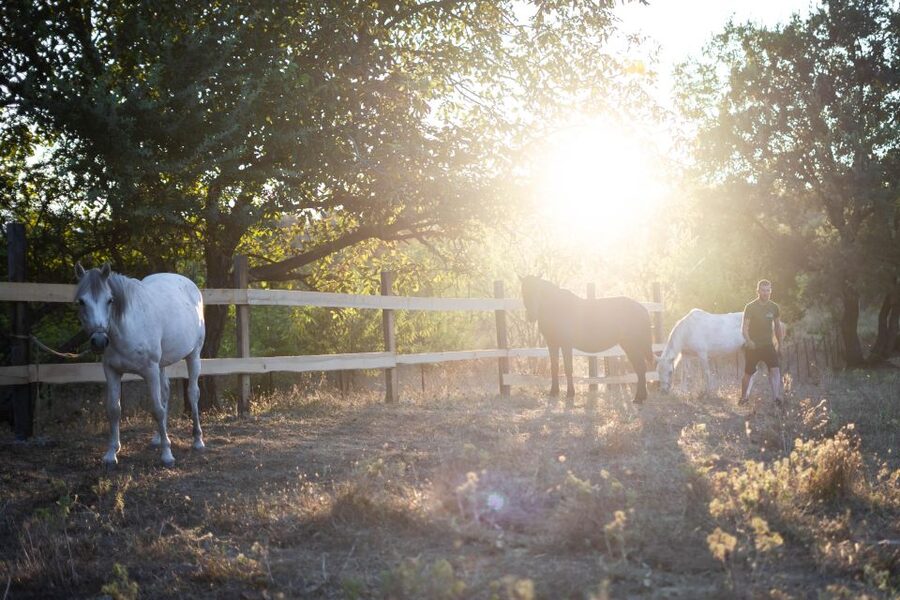 Kastraki: Meteora Sunset Horseback Riding - What makes this Meteora ride special