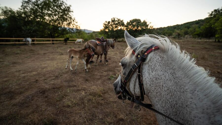Kastraki: Meteora Sunset Horseback Riding - Scenic paths around the rock formations