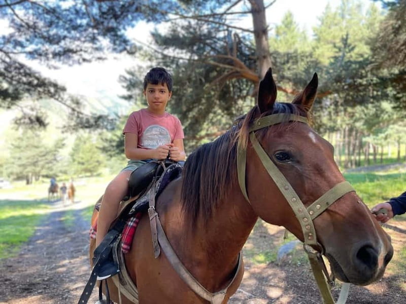 Kazbegi:Sunset Horse Riding Tour from Rooms Hotel Kazbegi - Who Will Enjoy This Ride Most?