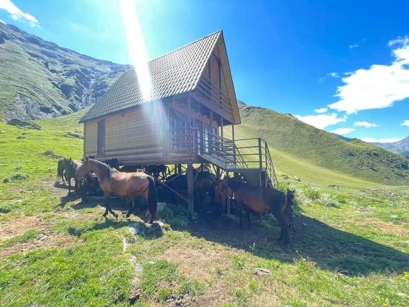 Kazbegi:Sunset Horse Riding Tour from Rooms Hotel Kazbegi - Should You Book the Kazbegi Horse Ride?