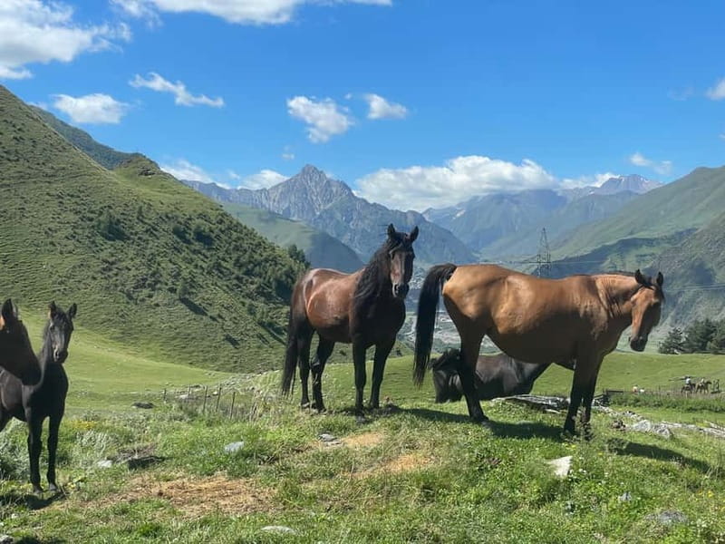 Kazbegi:Sunset Horse Riding Tour from Rooms Hotel Kazbegi - A One-Hour Ride Into Kazbegi’s Mountains