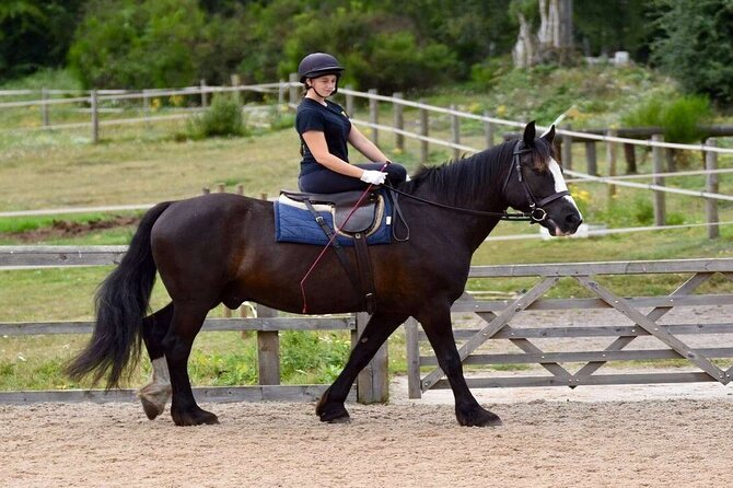 Kemer Horse Riding Experience with Transfer - Key points to know before booking