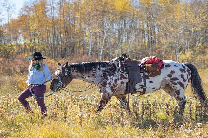 Kemer Horse Riding Experience with Transfer - Is $39 a fair price?