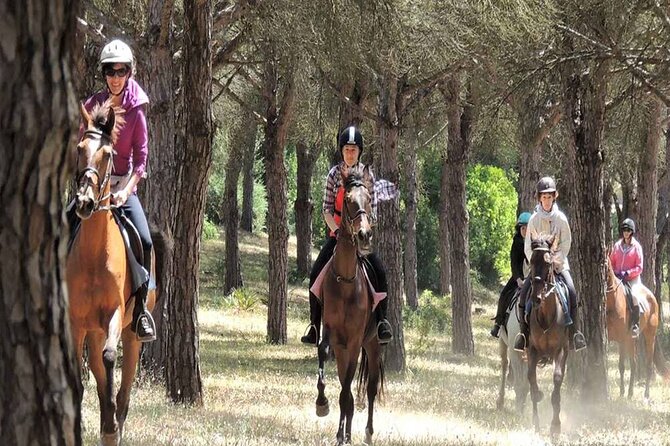 Kemer Horse Safari Experience With Free Hotel Transfer - A small group, but not a private lesson