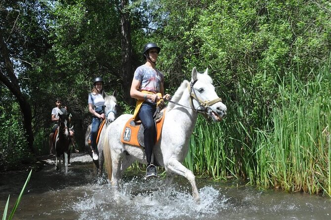Kemer Horse Safari Experience With Free Hotel Transfer - Who will enjoy this Kemer horse safari?