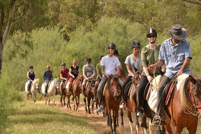 Kemer Horse Safari Experience With Free Hotel Transfer - Weather, cancellation, and planning details