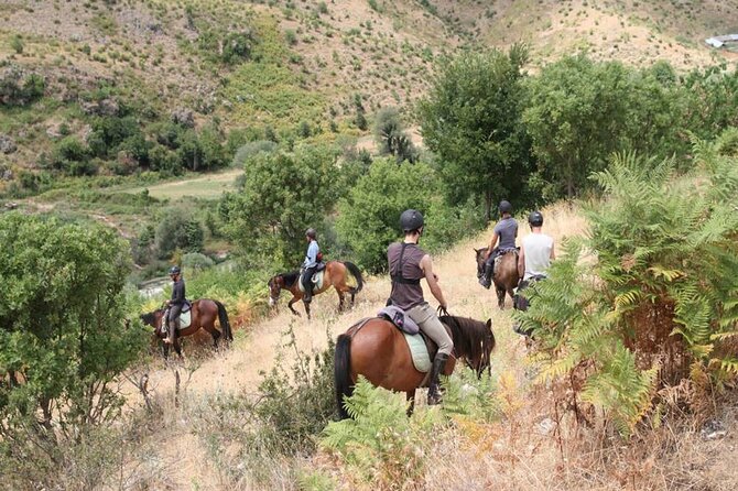 Kemer Horse Safari Experience With Free Hotel Transfer - Meeting the instructors and preparing to ride