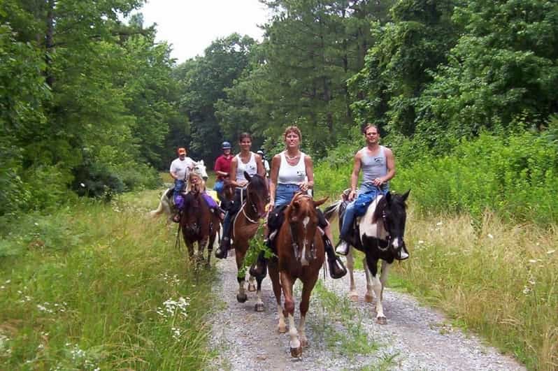 Kemer Horse Safari, pick up from Kiris, Beldibi, Goynuk - Riding Through Kemer’s Pine Forest