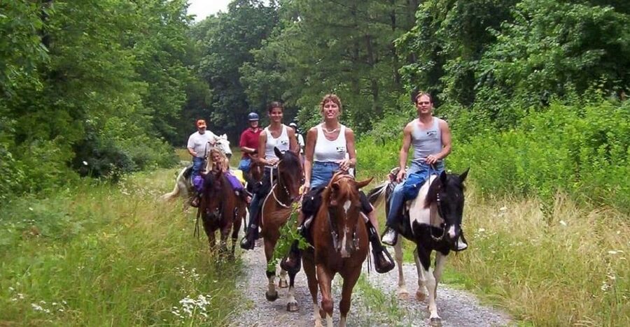 Kemer Horse Safari, pick up from Kiris, Beldibi, Goynuk - The Good and the Less Good