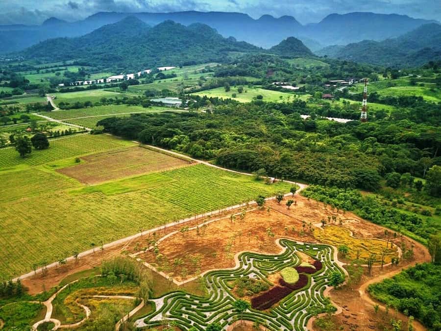 Khao Yai Vineyard Tasting Tour & Horse Farm Visit - Key Points at a Glance