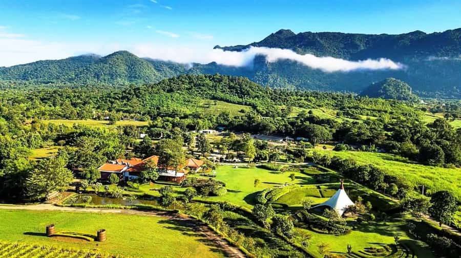 Khao Yai Vineyard Tasting Tour & Horse Farm Visit - The Wine Tasting: What You Actually Get