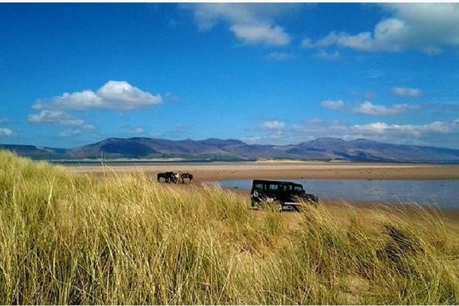 Killarney National Park Horseback Ride. Co Kerry. Guided. 1 hour. - How the one-hour route unfolds