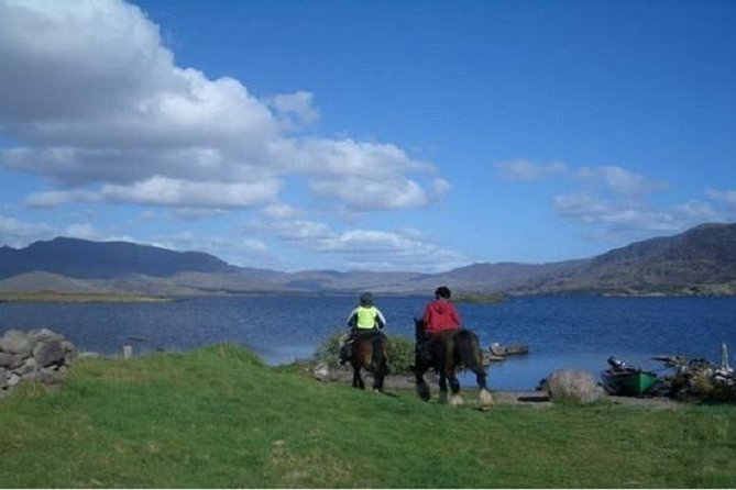 Killarney National Park Horseback Ride. Co Kerry. Guided. 1 hour. - Meeting the horses at Ballydowny