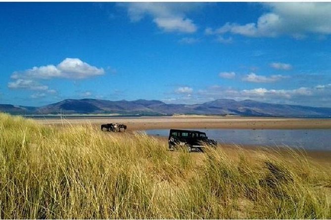 Killarney National Park Horseback Ride. Co Kerry. Guided. 2 hours. - Why beginners usually feel comfortable