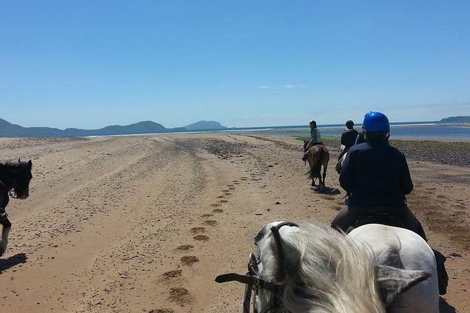 Killarney National Park Horseback Ride. Co Kerry. Guided. 2 hours. - Who should book this ride?