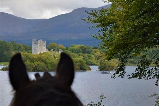 Killarney National Park Horseback Ride. Co Kerry. Guided. 3 hours. - What the guides add to the ride