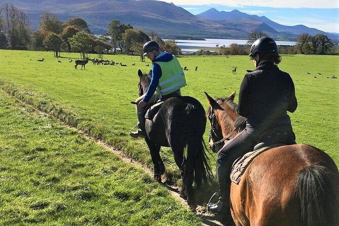Killarney National Park Horseback Ride. Co Kerry. Guided. 3 hours. - Is three hours the right length?