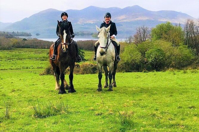Killarney National Park Horseback Ride. Co Kerry. Guided. 3 hours. - The $282.97 price and what you receive