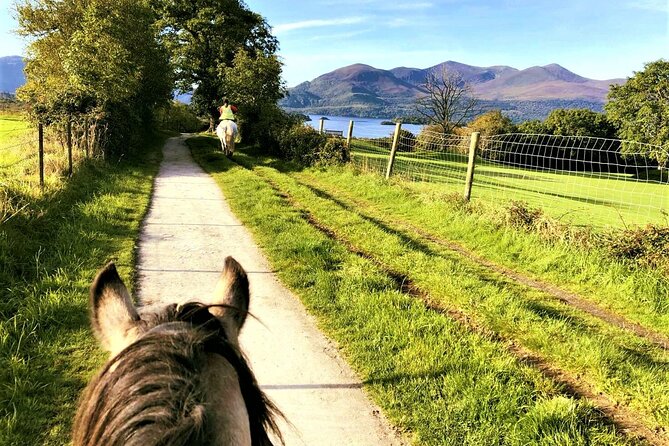 Killarney National Park Horseback Ride. Co Kerry. Guided. 3 hours. - Weather, clothing, and practical preparation
