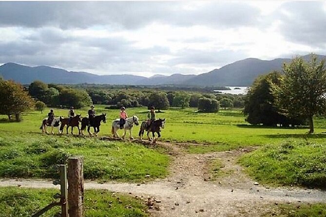 Killarney National Park Horseback Ride. Co Kerry. Guided. 3 hours. - Who will enjoy this most