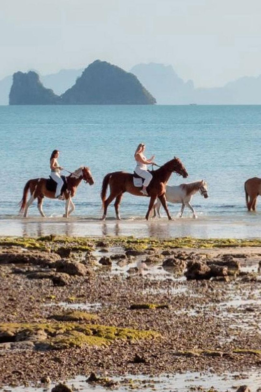 Koh Samui Horse Riding & Beach Trails - Who will enjoy this Koh Samui ride?