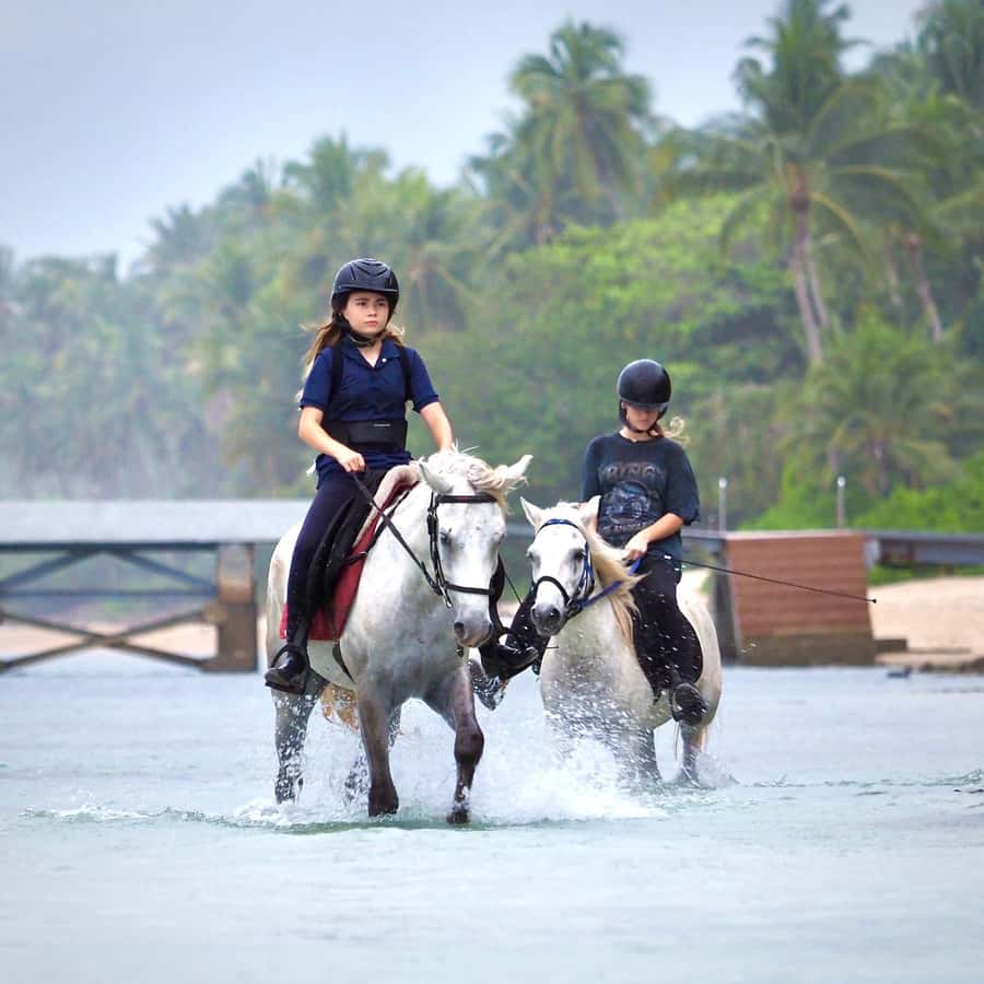 Koh Samui Horse Riding & Beach Trails - From the Koh Samui office to the saddle