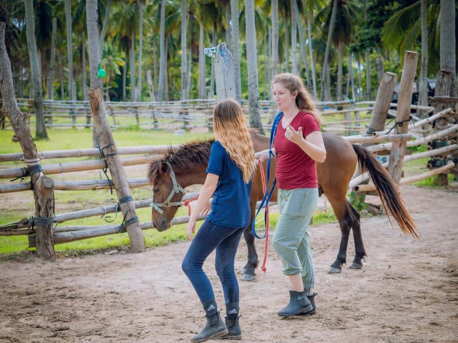 Koh Samui Horse Riding & Beach Trails - What the equipment includes, and what to check
