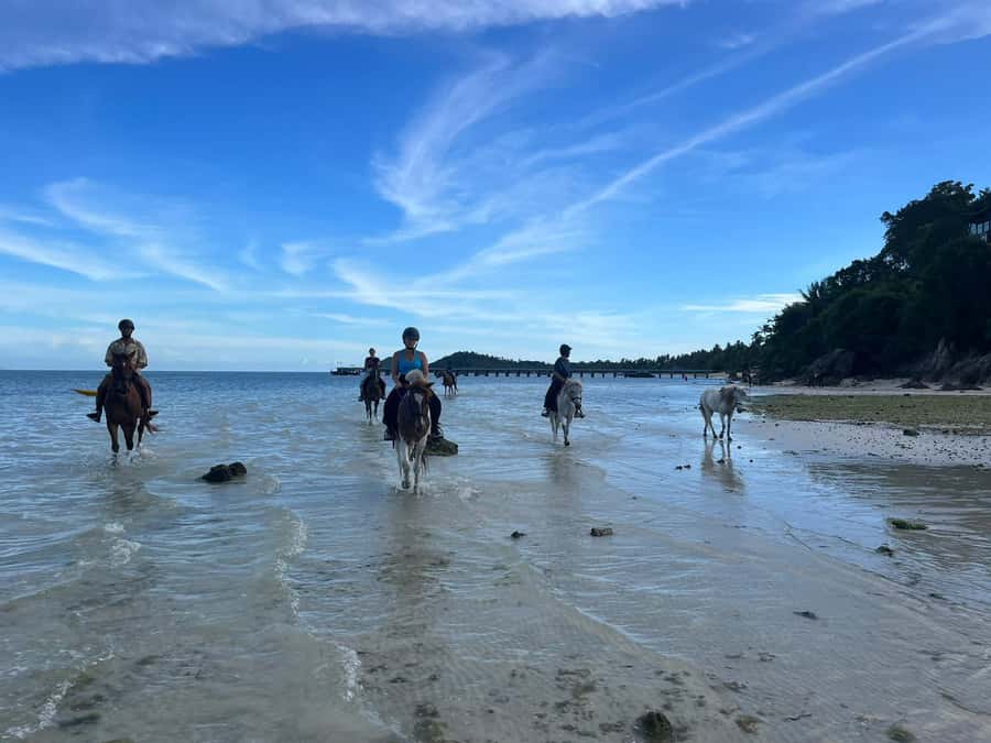 Koh Samui Horse Riding & Beach Trails - How safe is the ride for beginners and children?