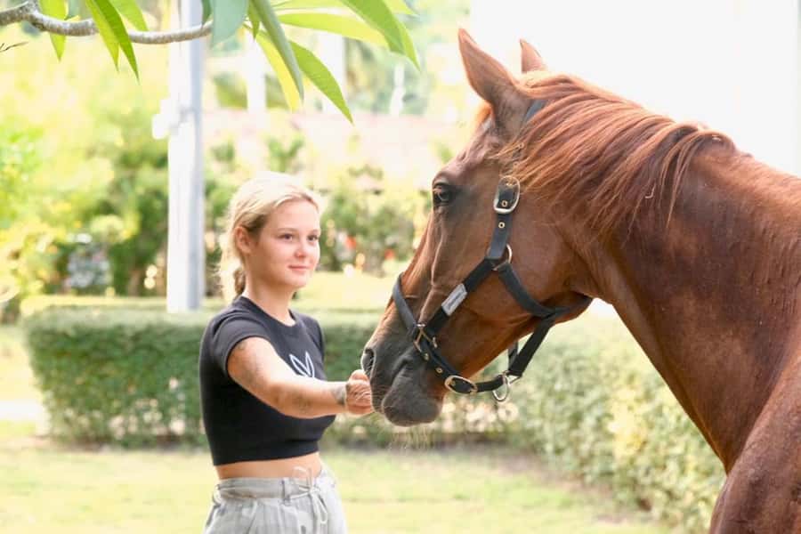 Koh Samui Horse Riding & Beach Trails - Sunrise or sunset: which departure should you choose?
