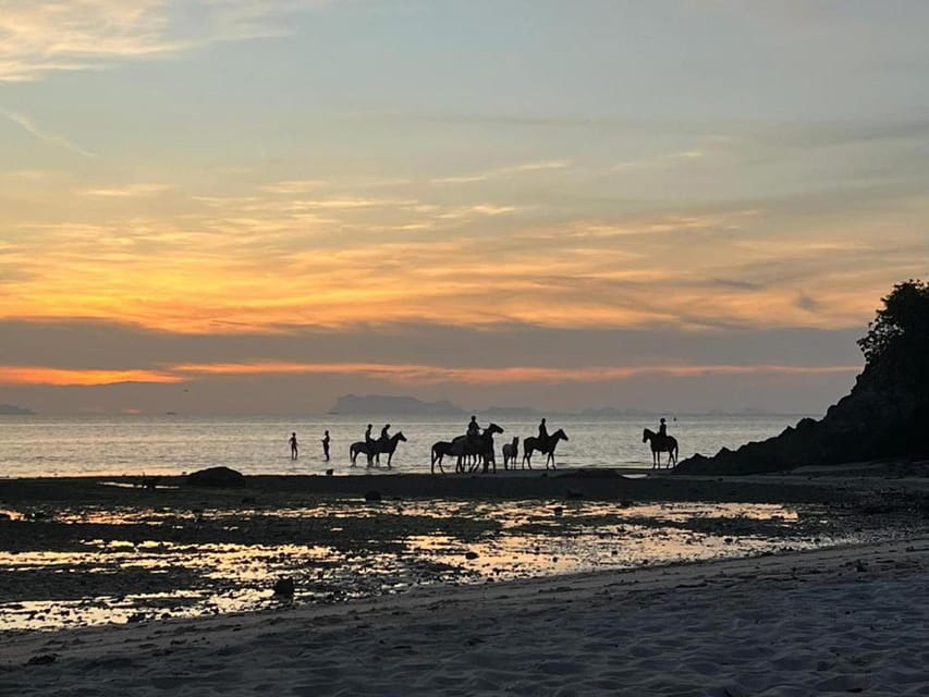 Koh Samui: Sunset Trail Horse Riding on The Beach - Key points to know before you book