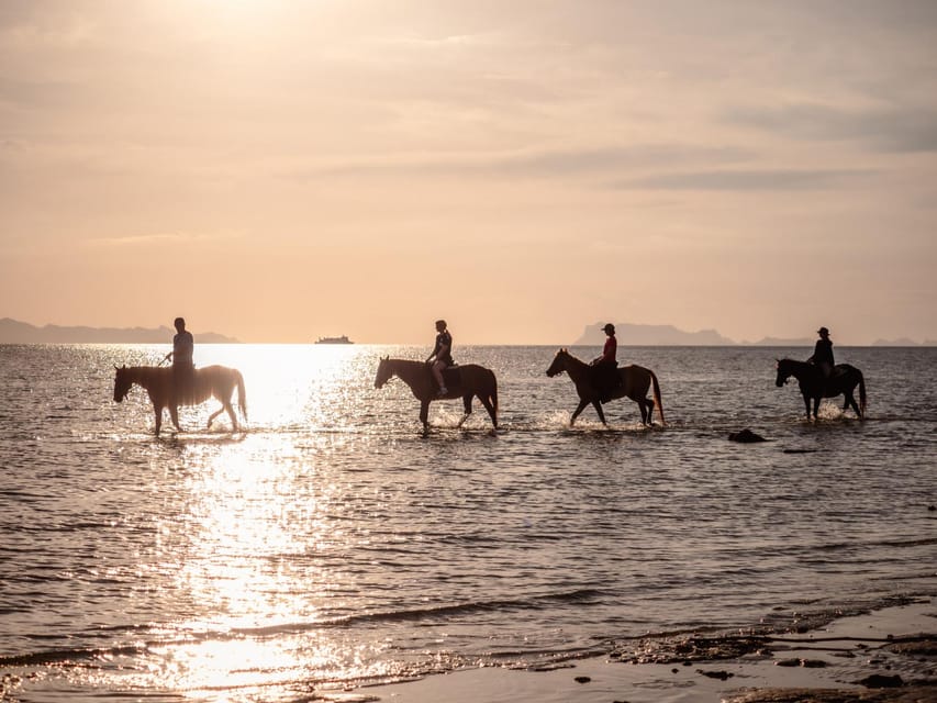 Koh Samui: Sunset Trail Horse Riding on The Beach - Should you book the Laem Yai sunset ride?